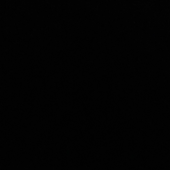 Meet your Posher, Lexi - Picture 1 of 1